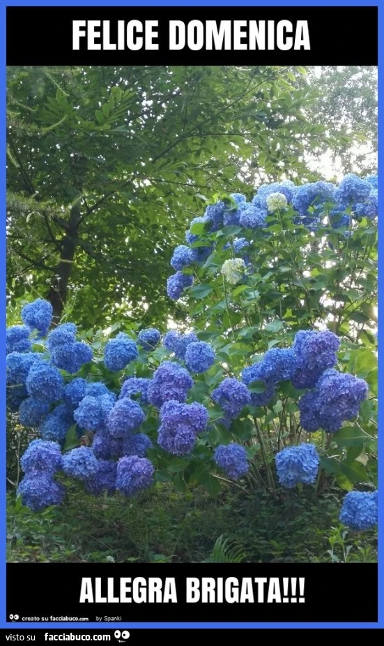 Felice domenica allegra brigata