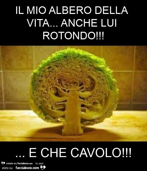 Il mio albero della vita&hellip; anche lui rotondo! &hellip; e che cavolo
