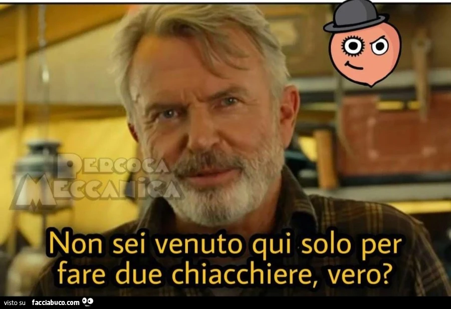 Vaccata