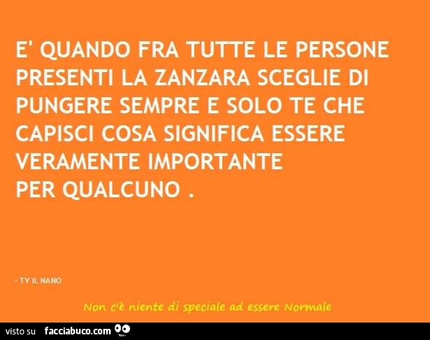 È quando fra tutte le persone presenti la zanzara sceglie di pungere sempre e solo te che capisci cosa significa essere veramente importante per qualcuno