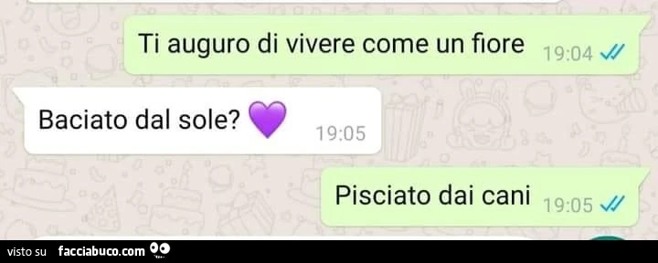 Vaccata
