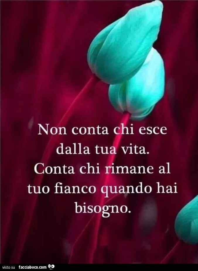 Non conta chi esce dalla tua vita. Conta chi rimane al tuo fianco quando hai bisogno