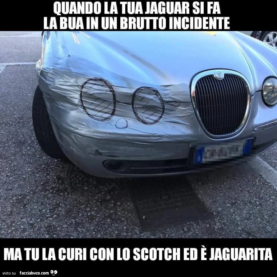 Vaccata