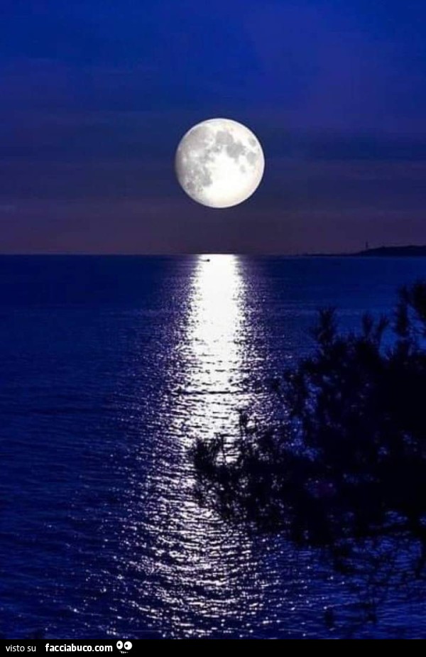 Luna sul mare