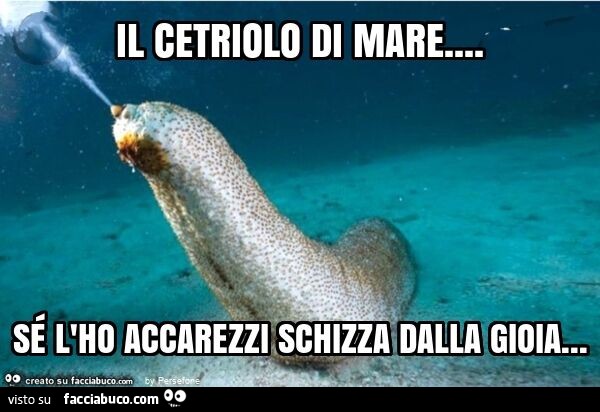 Il cetriolo di mare… sé l'ho accarezzi schizza dalla gioia