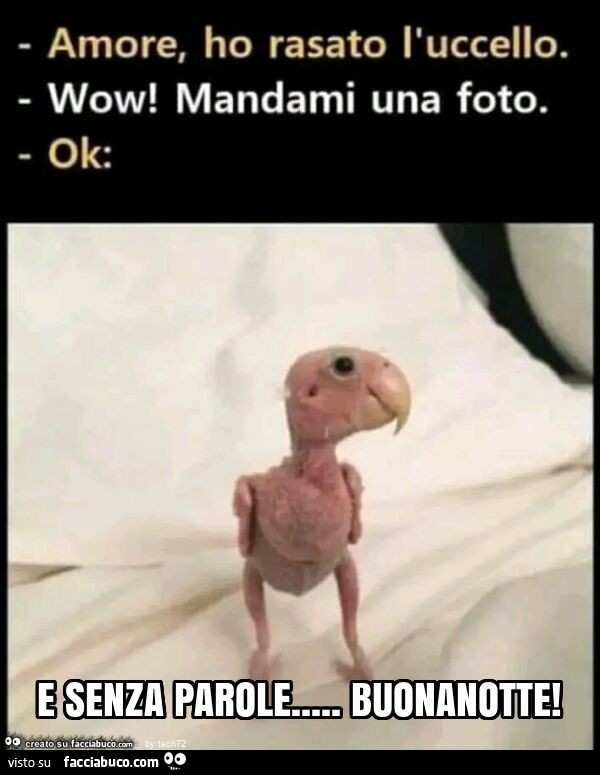 E senza parole… buonanotte