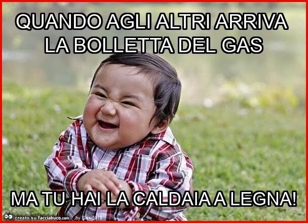 Quando agli altri arriva la bolletta del gas ma tu hai la caldaia a legna