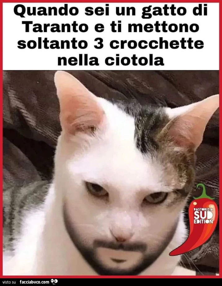 Vaccata