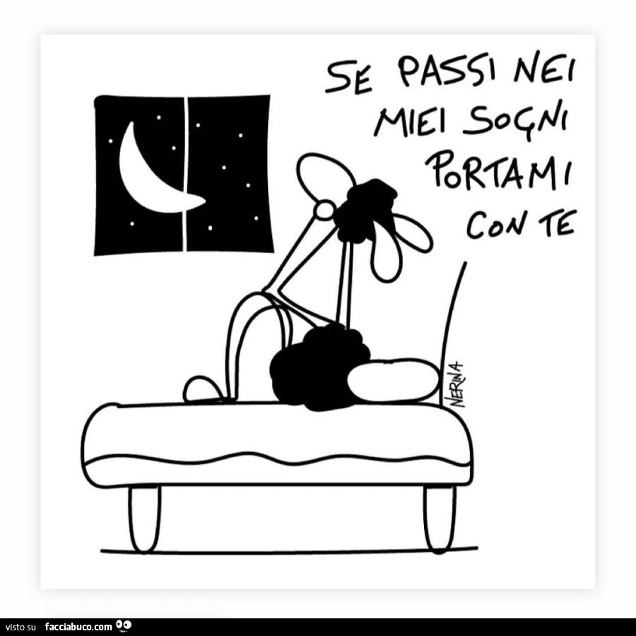 Se passi nei miei sogni portami con te