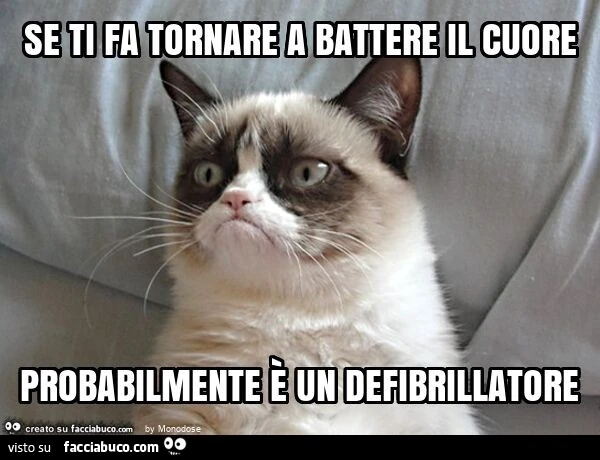 Se ti fa tornare a battere il cuore probabilmente è un defibrillatore