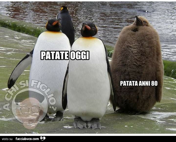 Patate oggi patata anni 80