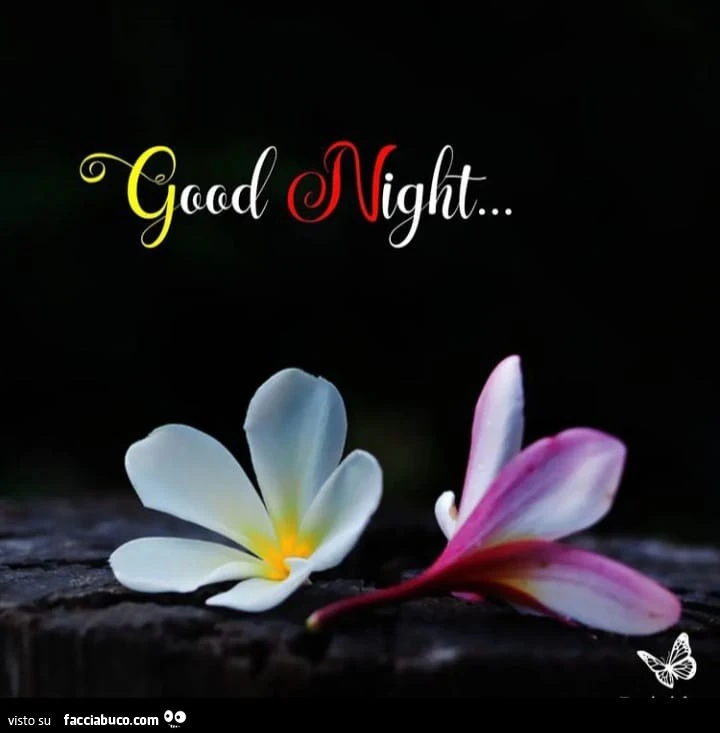 Good Night fiori