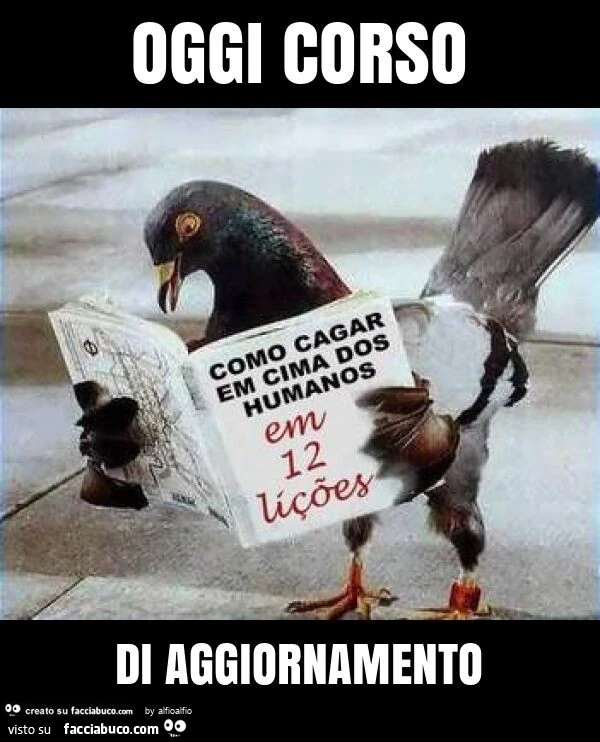 Oggi corso di aggiornamento
