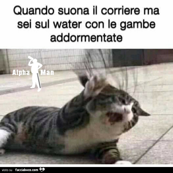 Quando suona il corriere ma sei sul water con le gambe