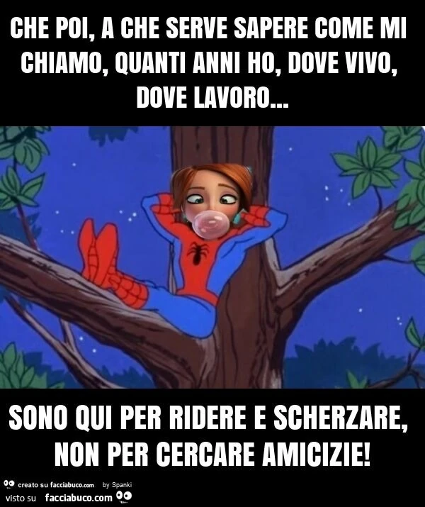 Che poi, a che serve sapere come mi chiamo, quanti anni ho, dove vivo, dove lavoro&hellip; sono qui per ridere e scherzare, non per cercare amicizie