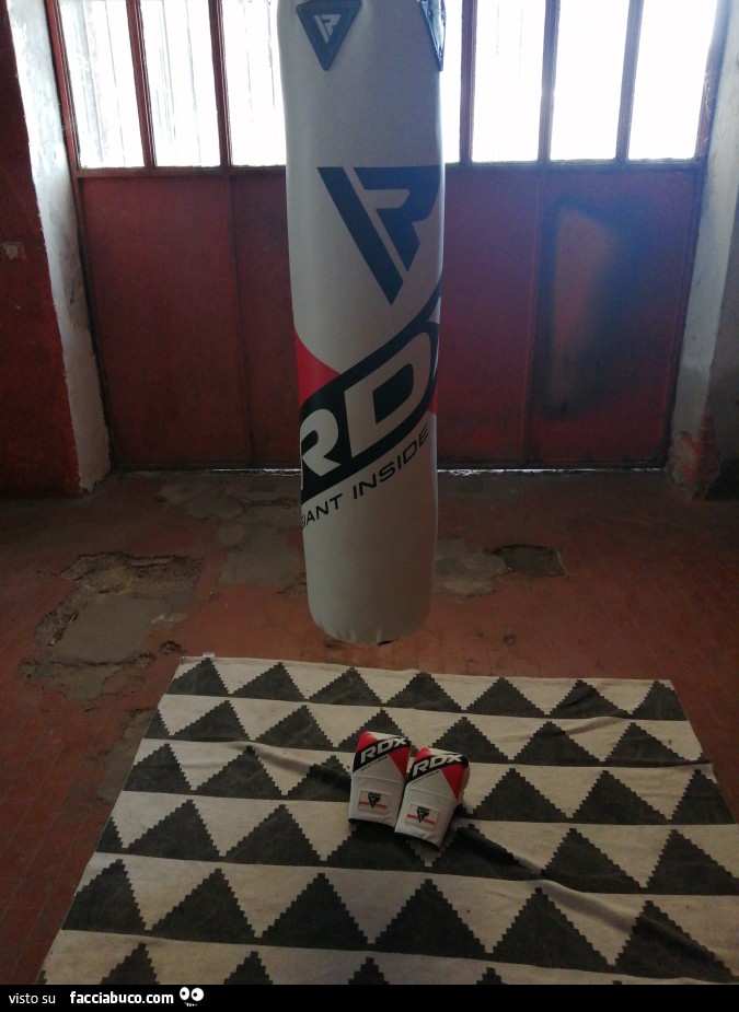 Vaccata