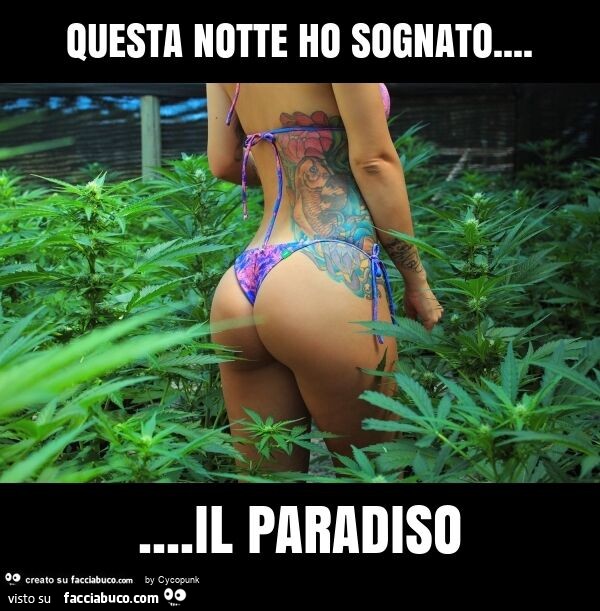 Questa notte ho sognato… il paradiso