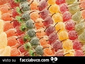 Vaccata