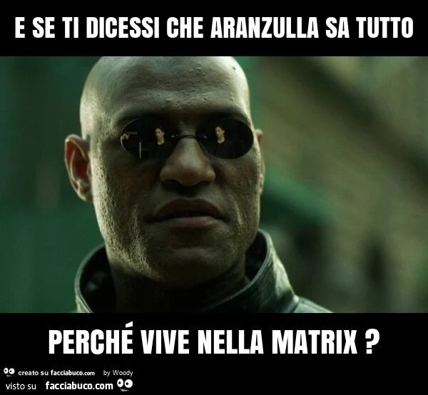 E se ti dicessi che aranzulla sa tutto perché vive nella matrix?