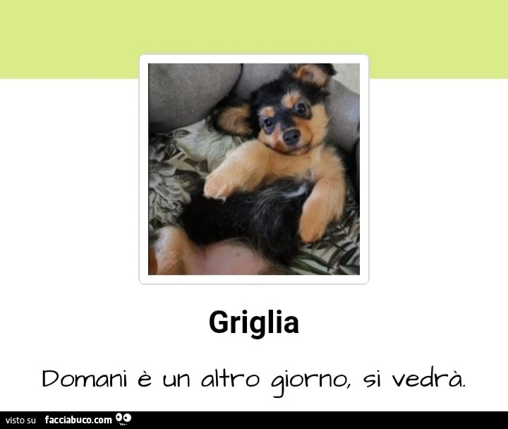Griglia domani รจ un altro giorno si vedrร
