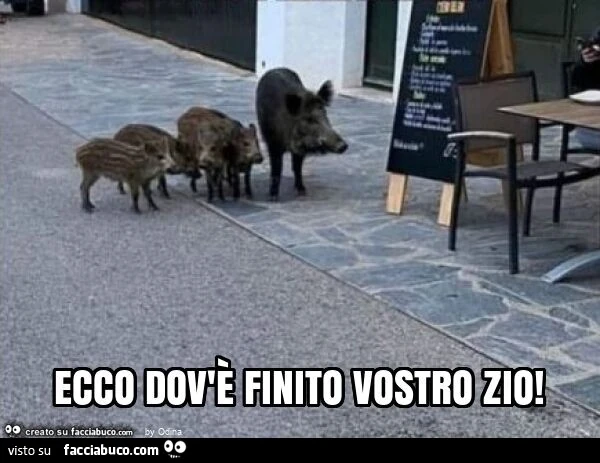 Ecco dov'è finito vostro zio