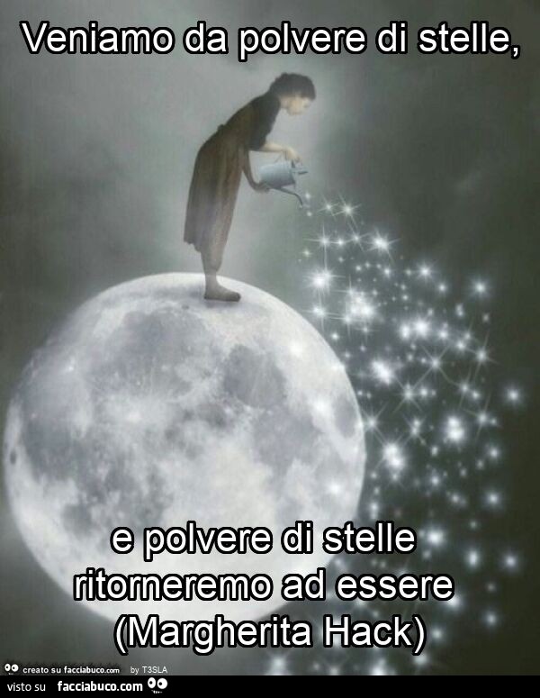 Veniamo da polvere di stelle, e polvere di stelle ritorneremo ad essere (margherita hack)