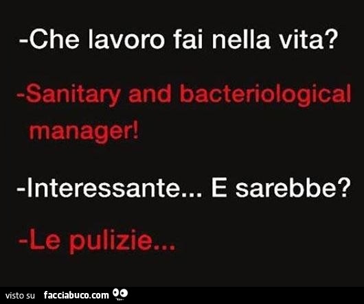 Che lavoro fai nella vita? Sanitary and bacteriological manager! Interessante… e sarebbe? Le pulizie