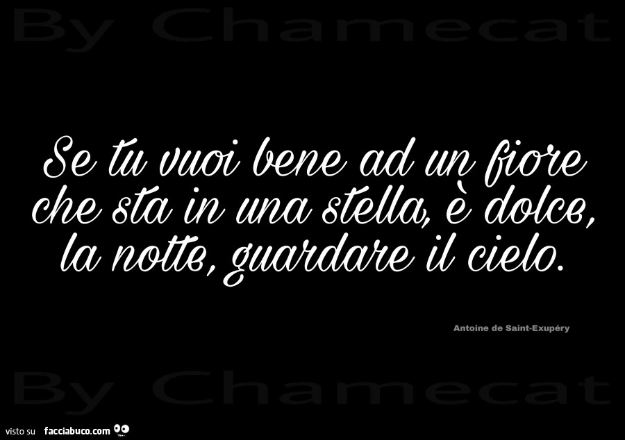 Se tu vuoi bene ad un fiore che sta in una stella è dolce la notte guardare il cielo