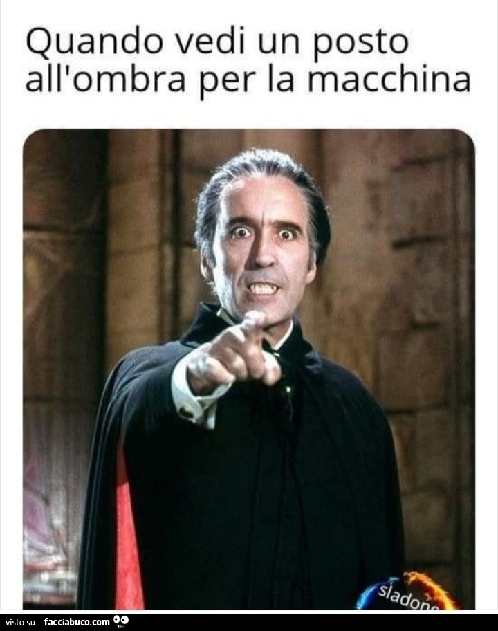 Quando vedi un posto all ombra per la macchina