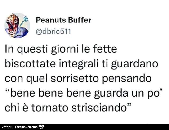 In questi giorni le fette biscottate integrali ti guardano con quel sorrisetto pensando bene bene bene guarda un po' chi è tornato strisciando