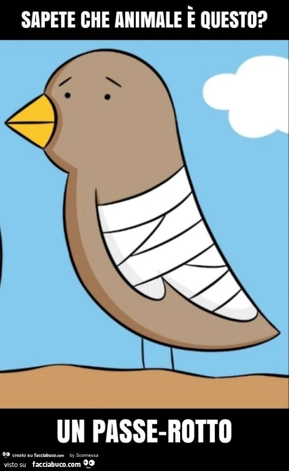 Sapete che animale è questo? Un passe-rotto