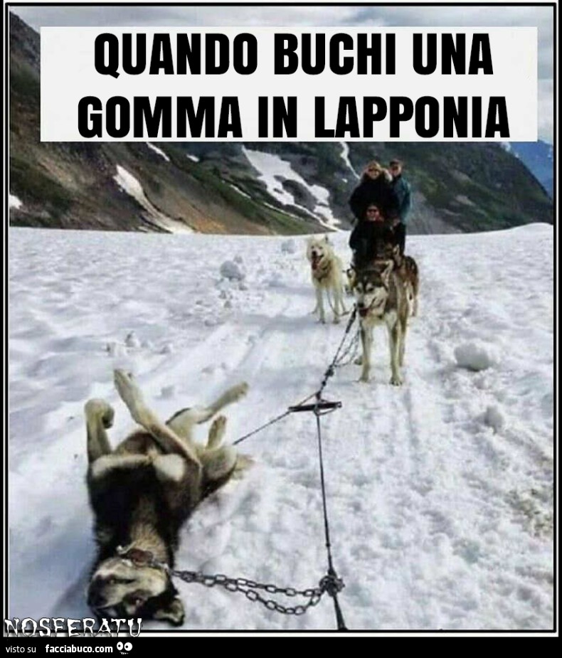 Quando buchi una gomma in Lapponia