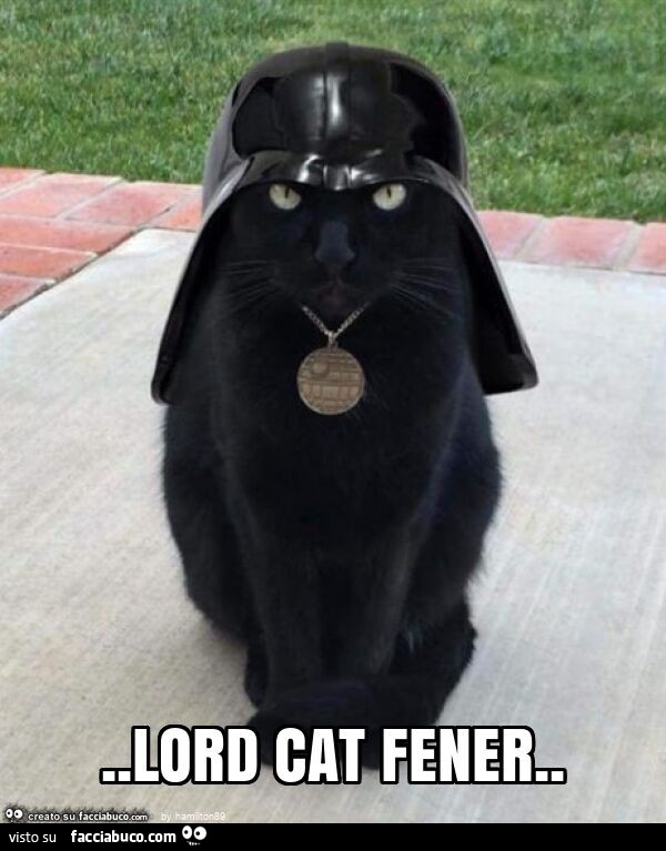 Lord cat fener