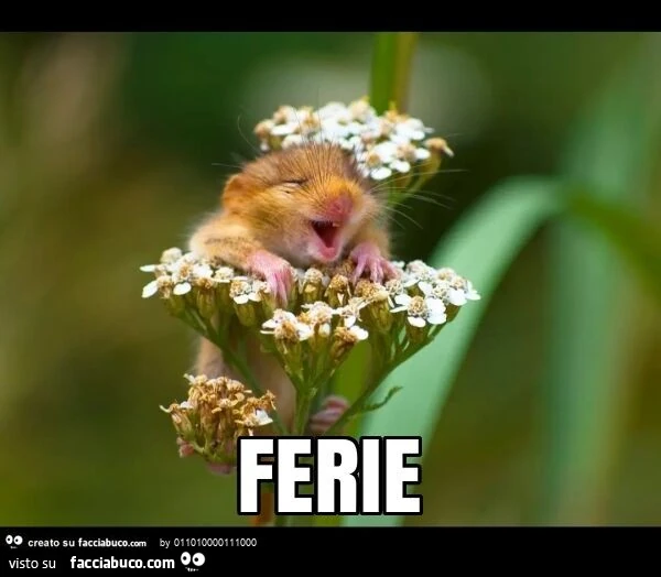 Ferie