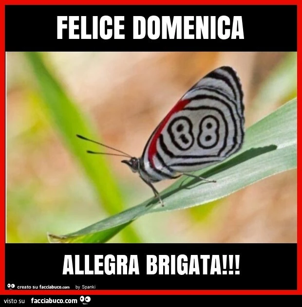 Felice domenica allegra brigata