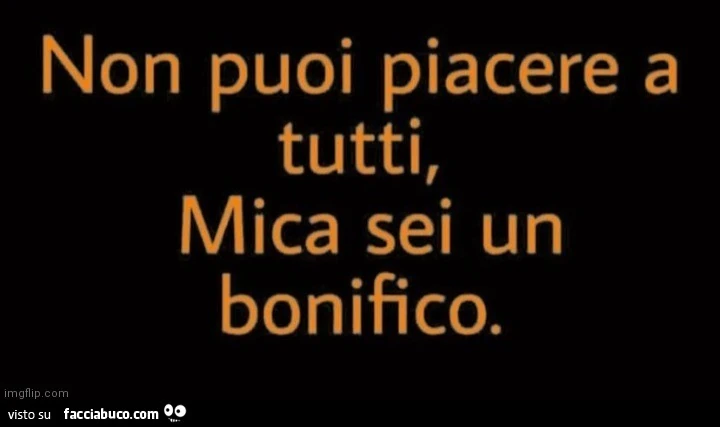 Non puoi piacere a tutti, mica sei un bonifico