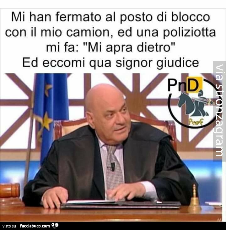 Mi han fermato al posto di blocco con il mio camion, ed una poliziotta mi fa: "Mi apra dietro" Ed eccomi qua Signor Giudice