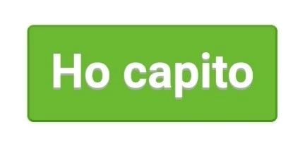 Ho capito