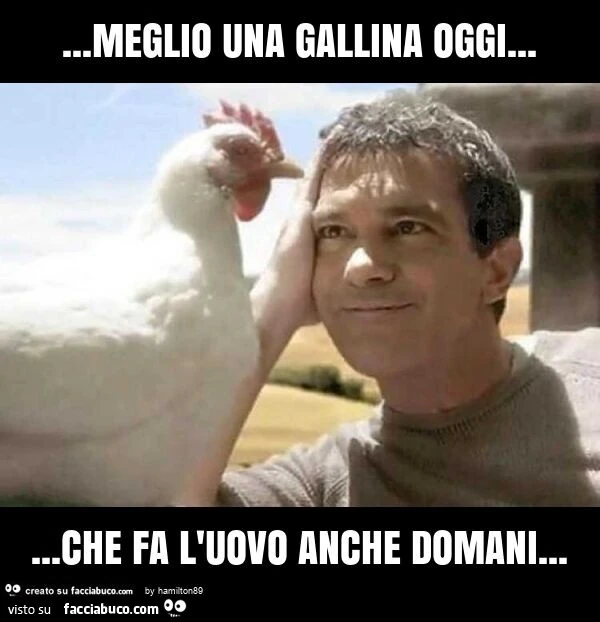Meglio una gallina oggi… che fa l'uovo anche domani