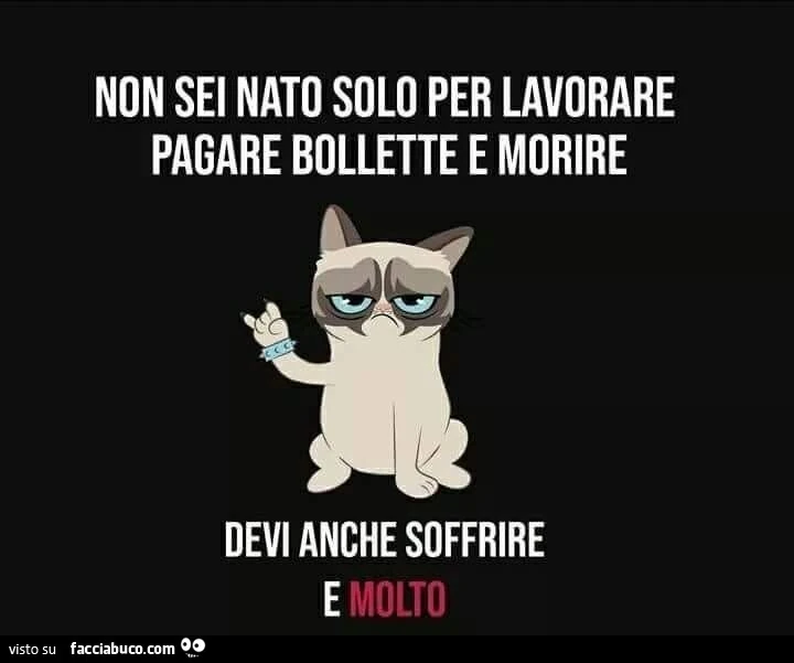 Non sei nato solo per lavorare pagare bollette e morire devi anche soffrire e molto