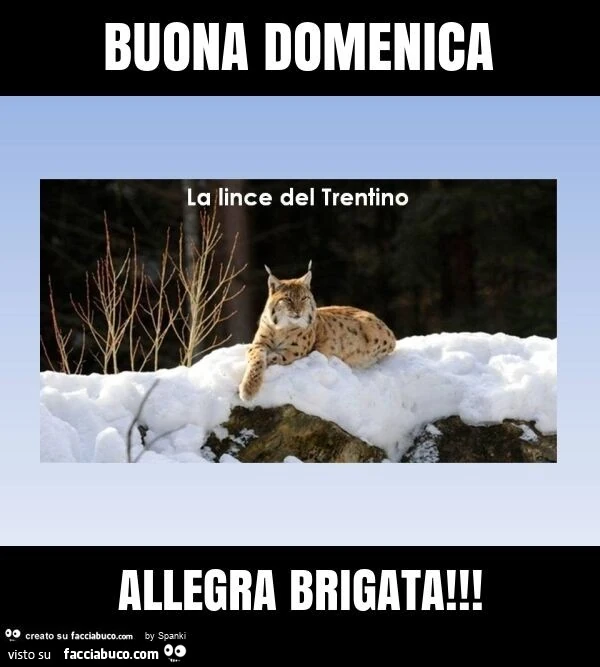 Buona domenica allegra brigata