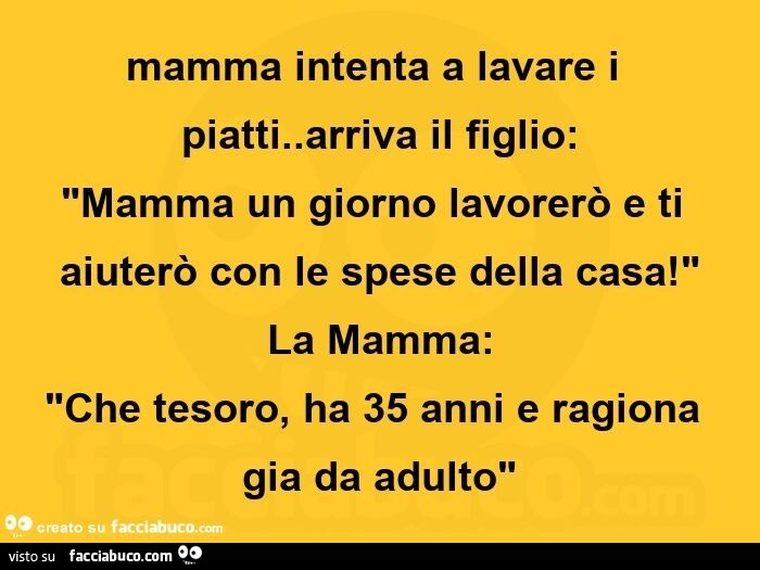 Mamma intenta a lavare i piatti. Arriva il figlio: mamma un giorno lavorerò e ti aiuterò con le spese della casa! La mamma: che tesoro, ha 35 anni e ragiona gia da adulto