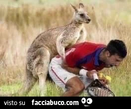Negato visto a Djokovic