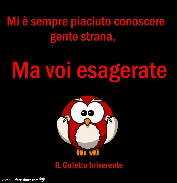 Mi è sempre piaciuto conoscere gente strana, ma voi esagerate il gufetto irriverente