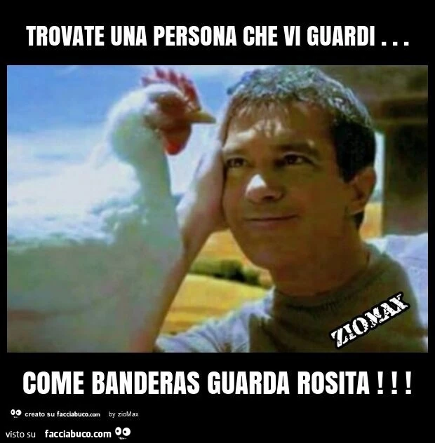 Trovate una persona che vi guardi&hellip; come banderas guarda rosita