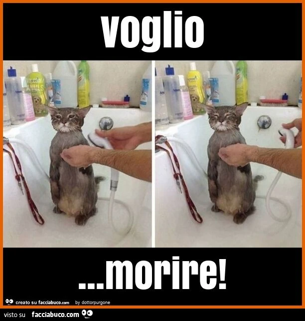 Voglio&hellip; morire