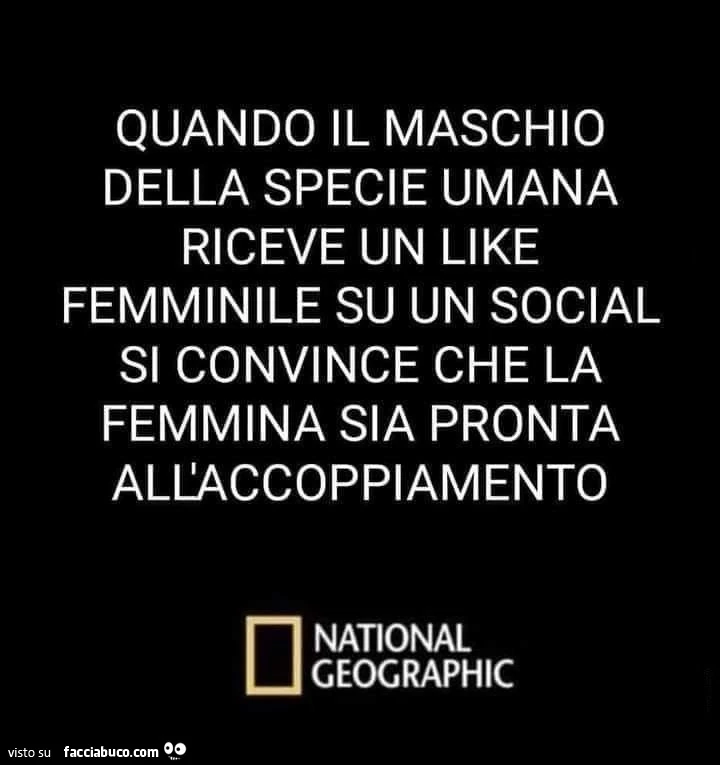 Quando il maschio della specie umana riceve un like femminile su un social si convince che la femmina sia pronta all'accoppiamento