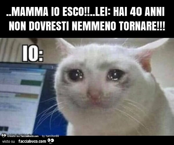 Mamma io esco! . lei: hai 40 anni non dovresti nemmeno tornare