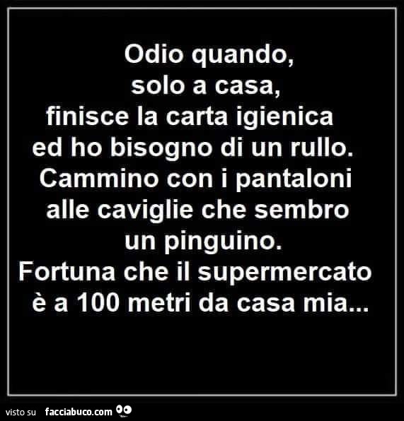 Odio quando, solo a casa, finisce la carta igienica ed ho bisogno di un rullo. Cammino con i pantaloni alle caviglie che sembro un pinguino. Fortuna che il supermercato è a 100 metri da casa mia…
