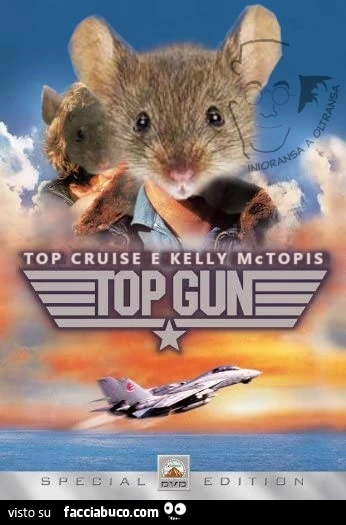 Top gun